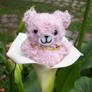 Pink Bear