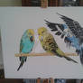Finished pic of Budgies