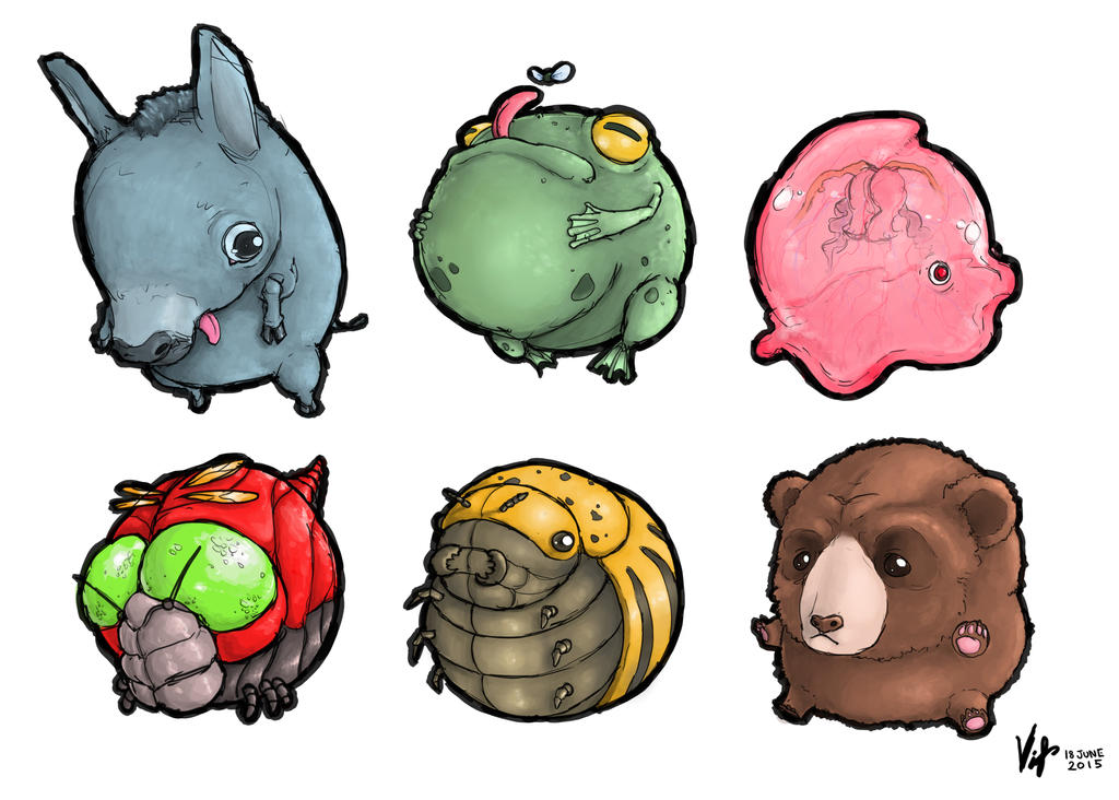 Derpy Insect Derpy Creatures by Vanguardias on DeviantArt