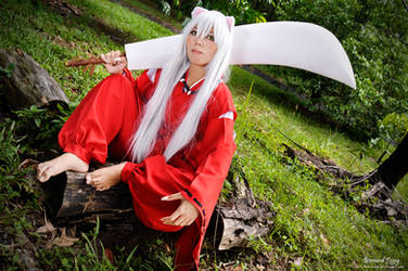 Inuyasha 04 by xavier88