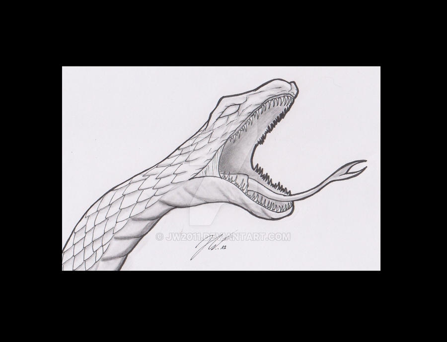Snake by JW2011 on DeviantArt