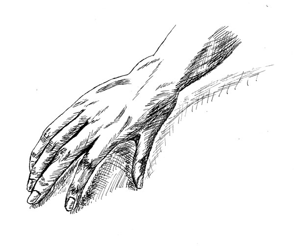 Hand Study I