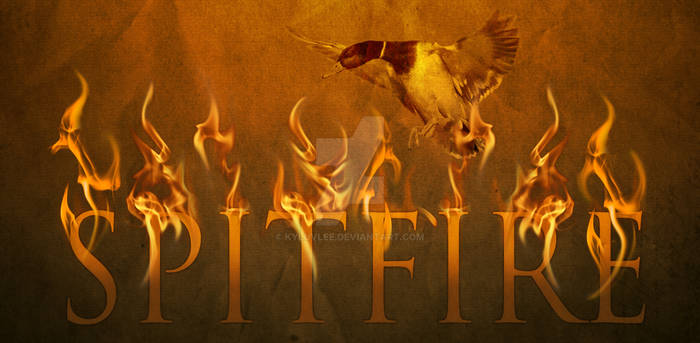 Spitfire Duck Call Banner Ad