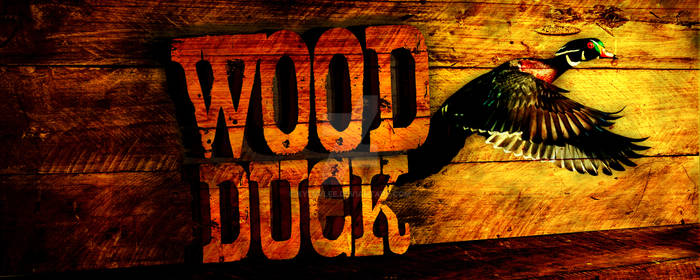 Wood Duck Call Banner Ad