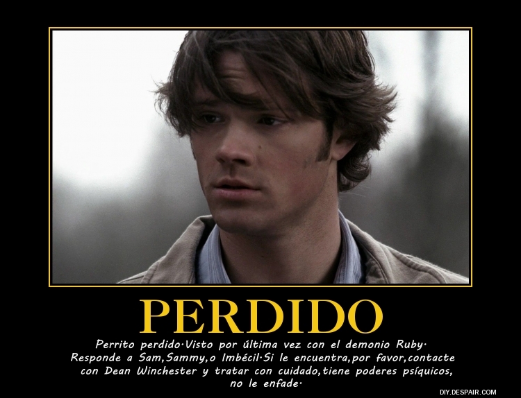 Sam perdido