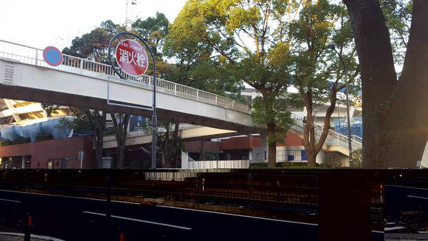 Yokohama Stadium