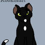 Rookheart of ThunderClan