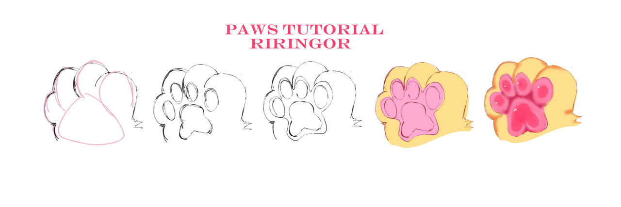 Paws Tutorial By Riringor On Deviantart Paws Tutorial By Riringor On Deviantart
