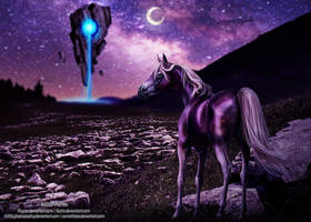 A Dreamer Just Like You by MillionAshes