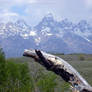 The Tetons