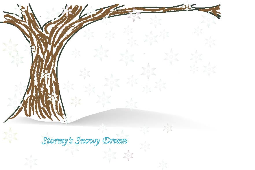 stormy's snowy dream