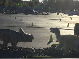 F88b4eb0-27ca-47b8-9d53-1c76a40758da