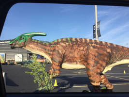 D6741c62-73cb-4b8b-852b-81b6c625344b