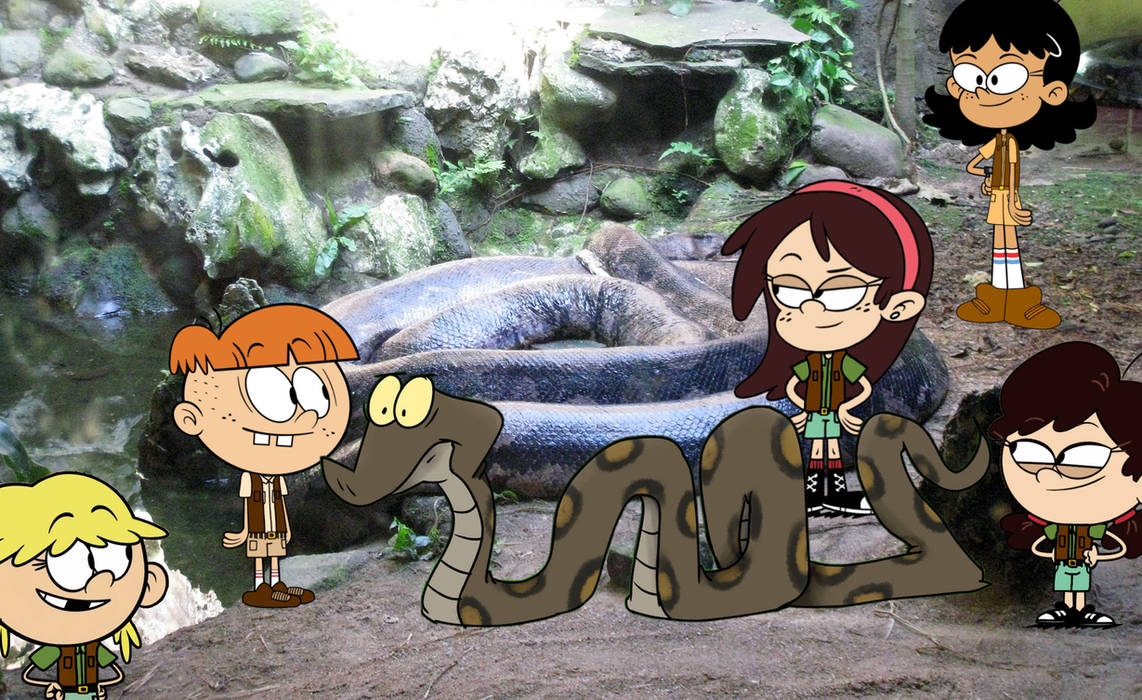 A Zoo July Reticulated Python Encounter by FinntheJedi1025 on DeviantArt