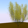 Plant 2