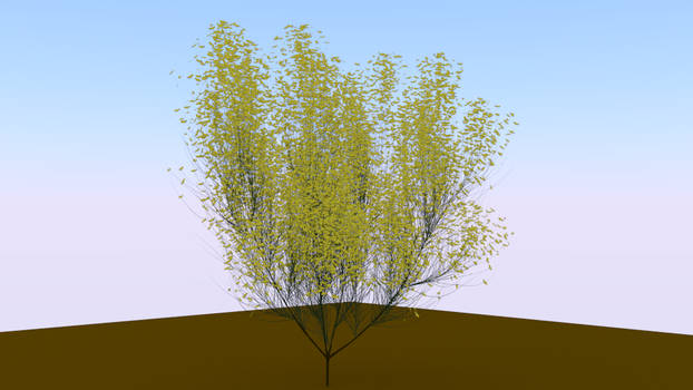 Plant 2