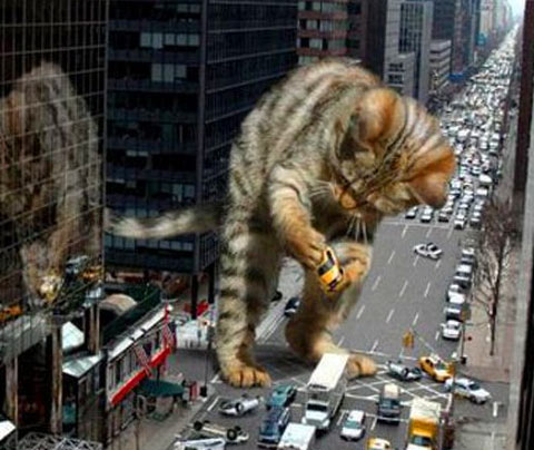 Catzilla