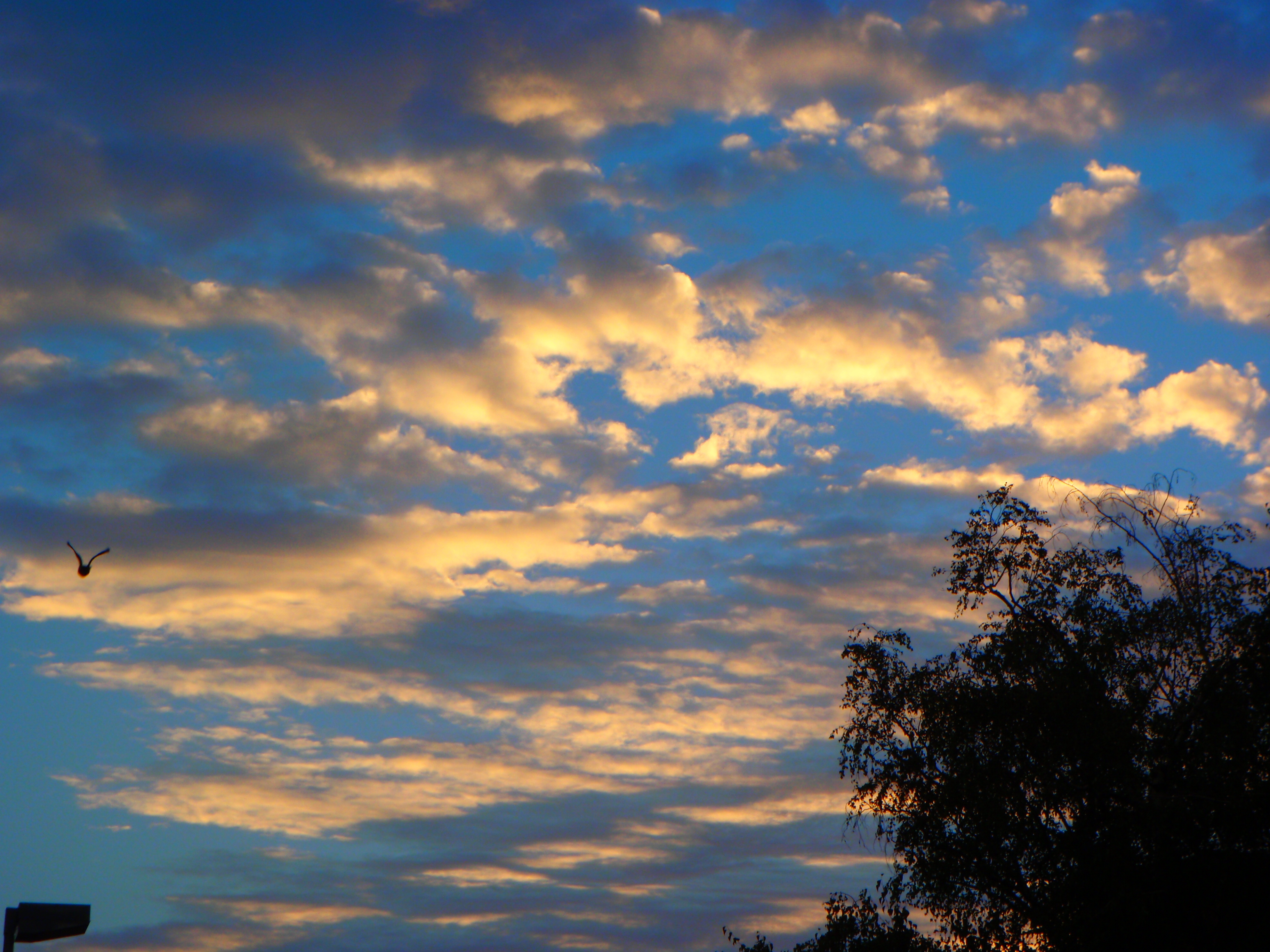 Colorful Sky