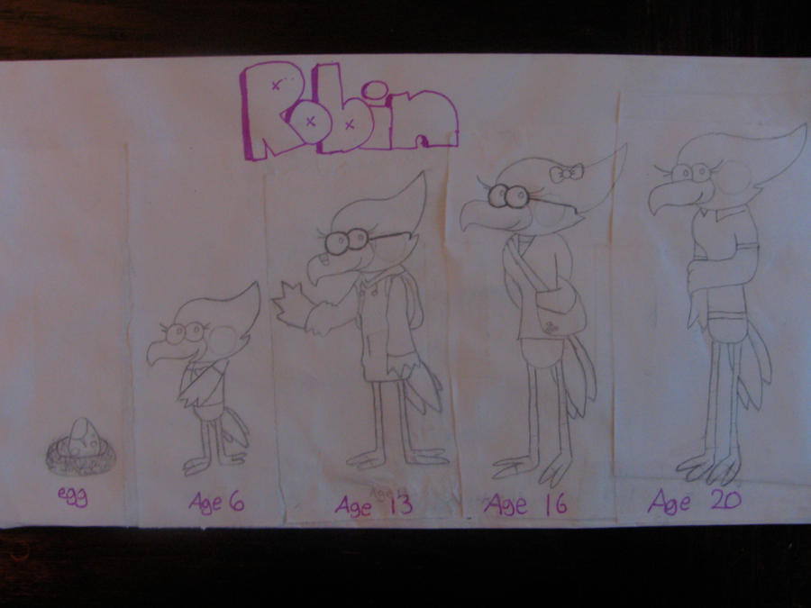 Robin Over the Years by herra97