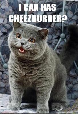 Happycat I Can Has Cheezburger