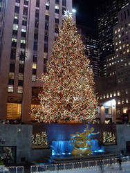 2005 Rockerfeller Tree