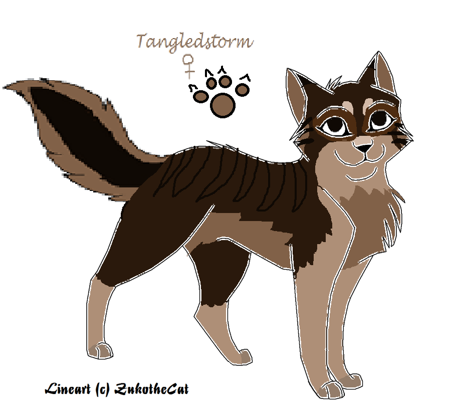 Tangledstorm-Cat form