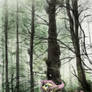Forest Fog Fluttering