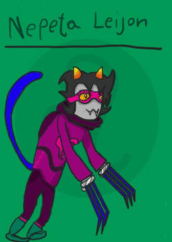 Nepeta Leijon