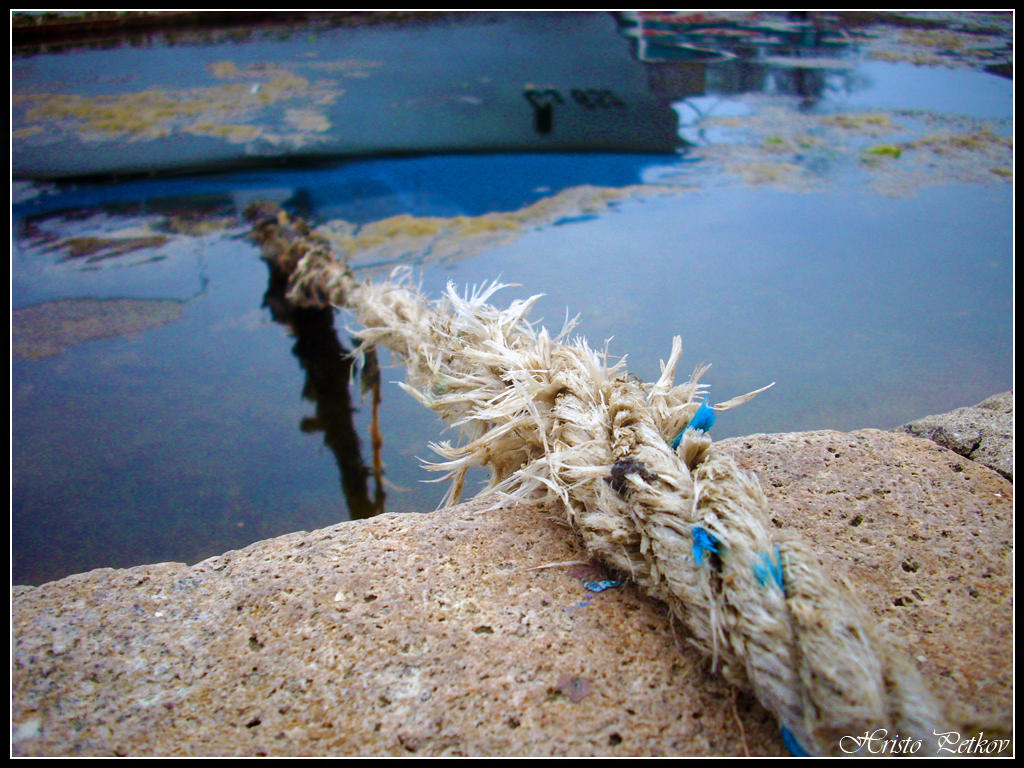 Swampy Rope Rope by thehppBG on DeviantArt
