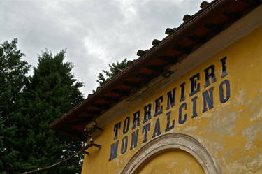 Torrenieri