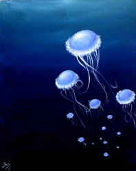 Jellyfishes