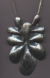 Silver shells