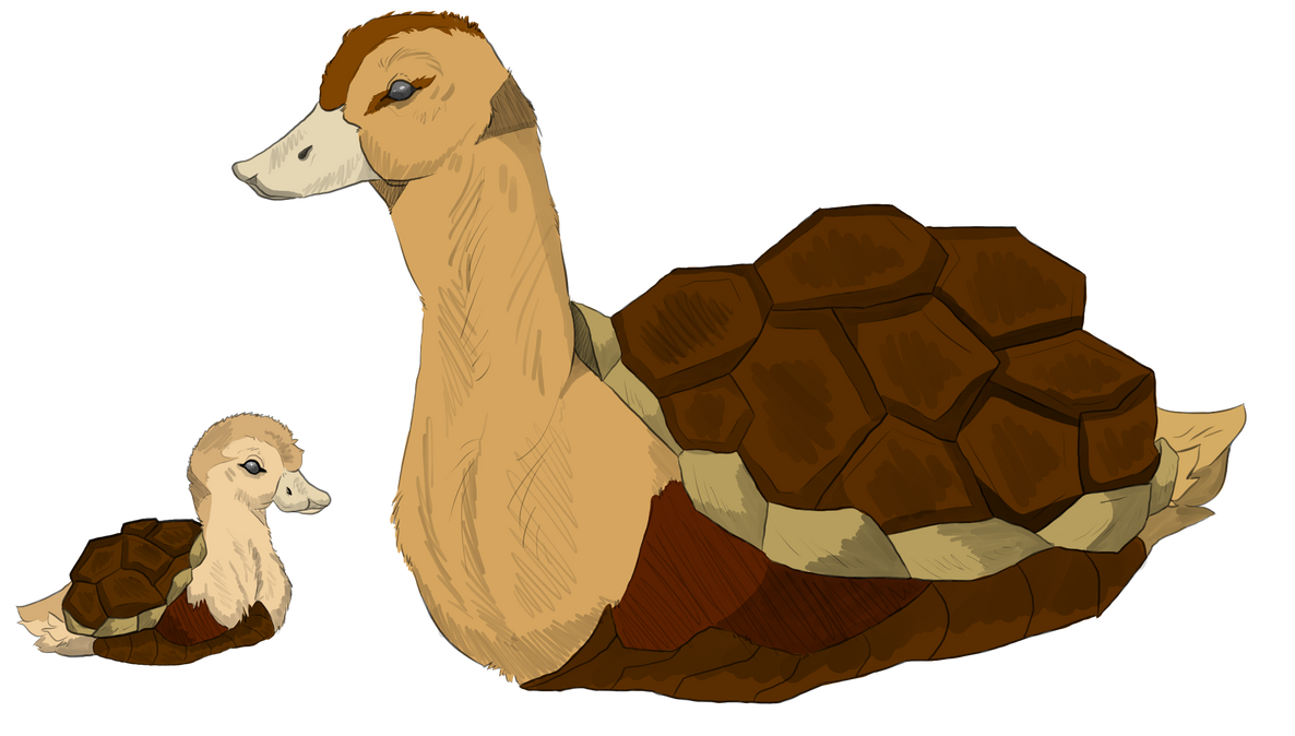 Turtle Ducks by Shark-Hound on DeviantArt