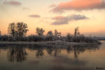 Trees on the river by flytiger