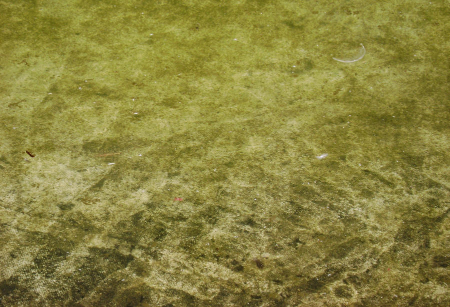 dirty water texture