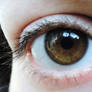 light brown eye 3