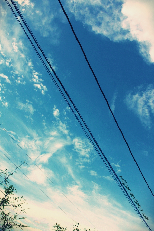 sky wire