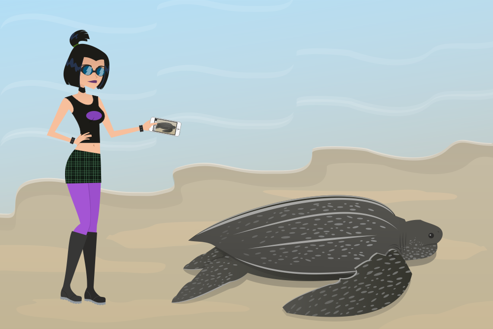 Sam Turtle Deviantart Sam and a Leatherback Sea Turtle by Juliefan21 on DeviantArt