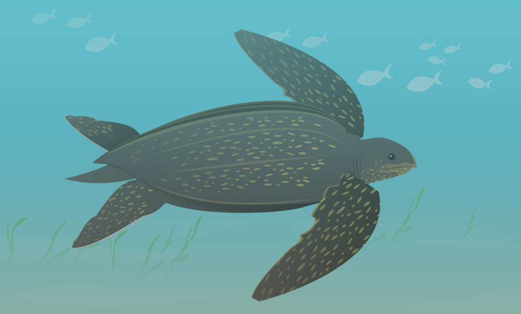 Prehistoric Monsters Archelon By Juliefan21 On Deviantart Prehistoric Monsters Archelon By Juliefan21 On Deviantart