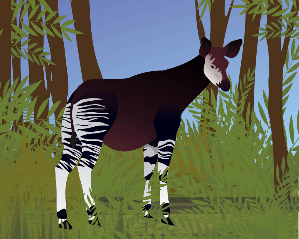 Okapi by Juliefan21 on DeviantArt