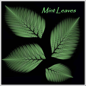 Mint Leaves