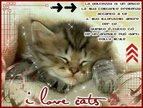 i love cats