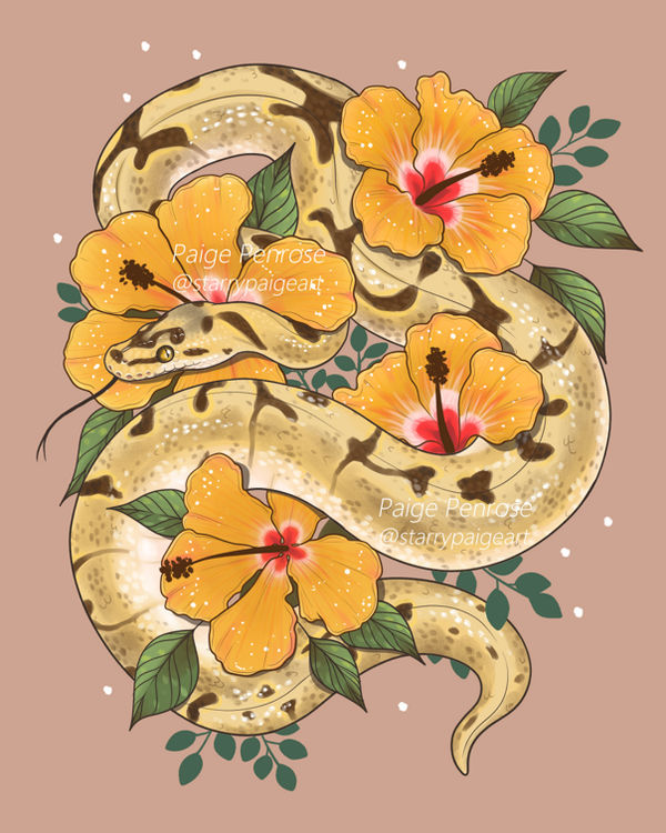 Ball Python and Hibiscus Flowers by starrypaige on DeviantArt