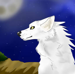 White Wolf