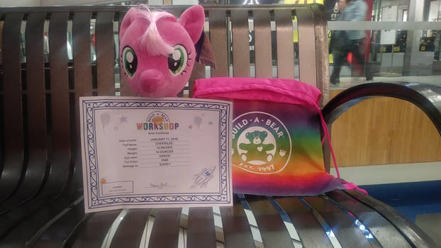 My little pony build a bear Cheerilee