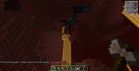 Nether squid