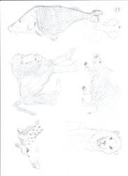 Chester Zoo Livestream Charity Sketches