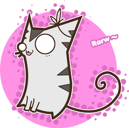 Rawsmus the Kitten