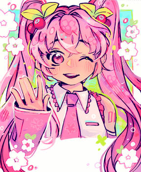 Miku Sakura