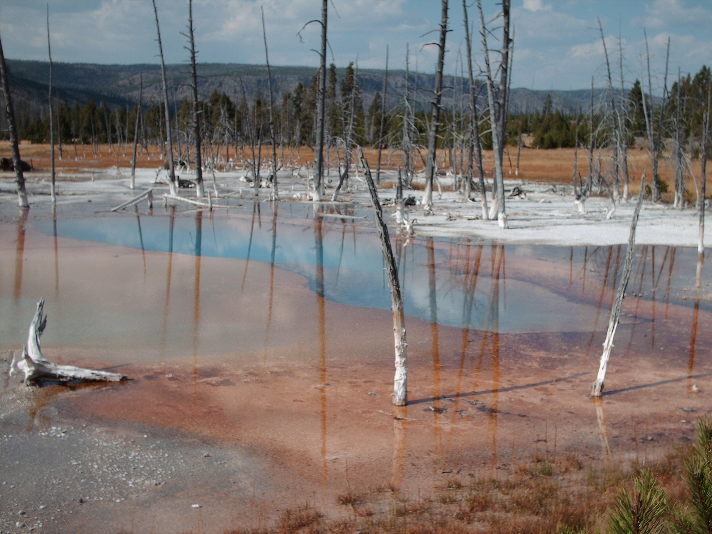 Yellowstone 5